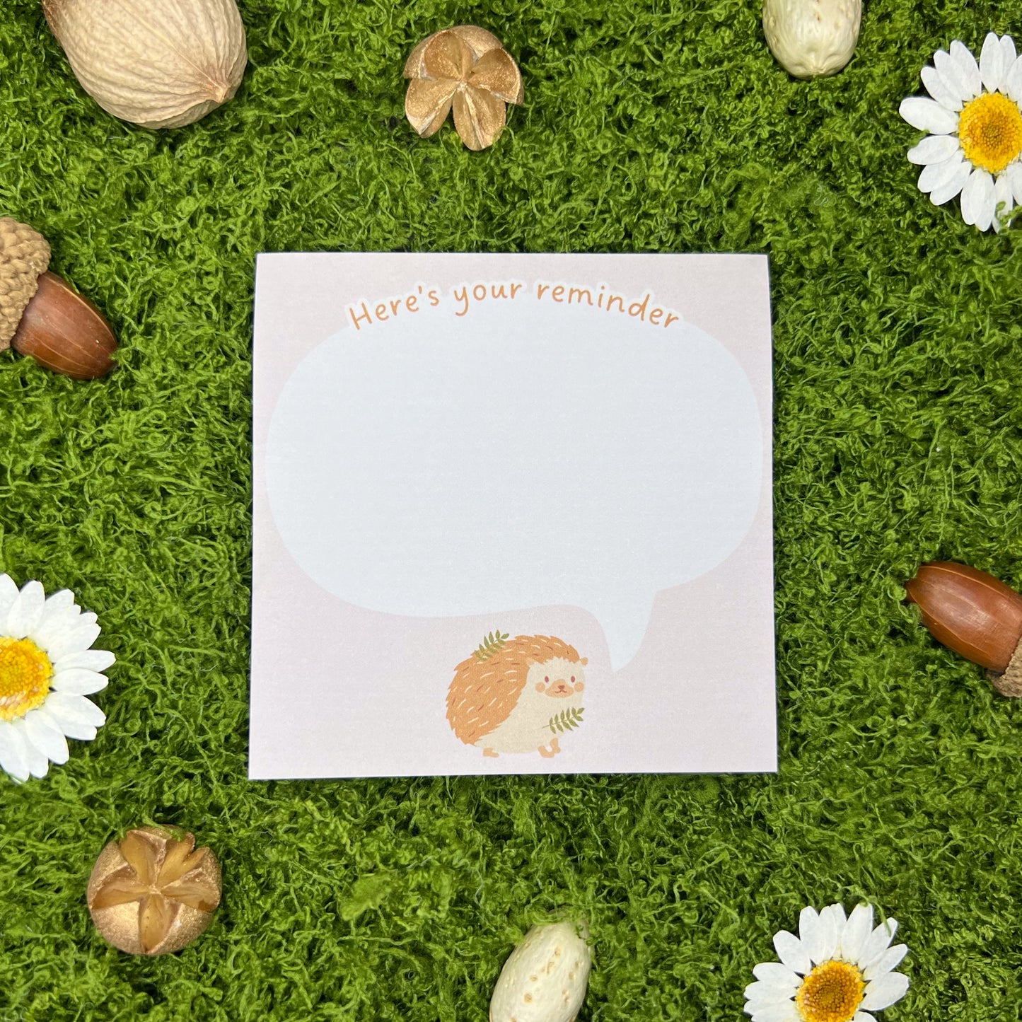 Hedgehog Reminder Sticky Notes